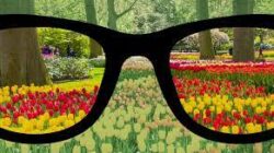 Kacamata Buta Warna: Memahami Tantangan dan Solusi